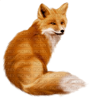 autumn deco kikkapink png fox - безплатен png