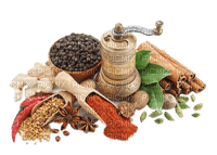 FOOD/COOKING - zadarmo png