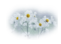 blommor-...flowers - PNG gratuit