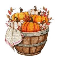 Herbst, Bottich, Kürbisse, Fall, Harvest - фрее пнг