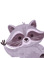 Vegan Raccoon - GIF animé gratuit
