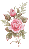MMarcia gif flores,fleurs - GIF animate gratis