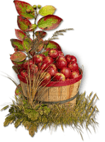 Barril de manzanas - 免费PNG