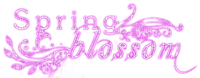 Spring Blossom.Text.Purple - png ฟรี