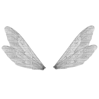 Fairy Wings - Free PNG
