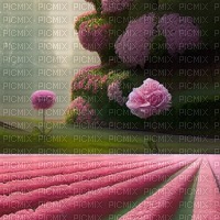Carnations Field and Hedge - PNG gratuit