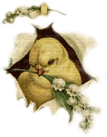 pascua  pollito flores dubravka4 - 免费PNG