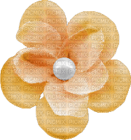 Flower Blume pearl apricot yellow - gratis png