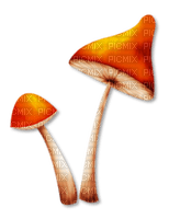 грибы - besplatni png