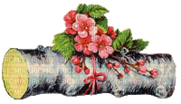 Baumstamm mit Kirschenblüten - GIF animado grátis