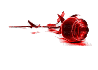 bleeding rose bp - GIF animado gratis