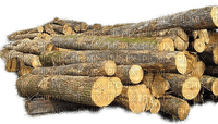 Buches bois.Wood logs.Troncos de madera.Victoriabea - nemokama png