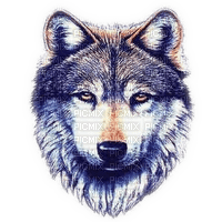 Wolf,deko, animation, gif Pelageya - png gratis