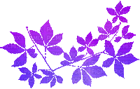 soave deco animated autumn branch liaves purple - Darmowy animowany GIF