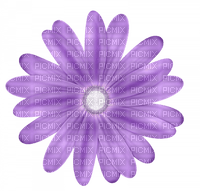 En violet - png grátis
