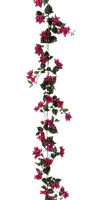 kwiaty - ücretsiz png