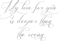 my love for you/words - zadarmo png