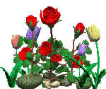 roses-NitsaPap - GIF animado gratis