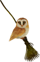 Kaz_Creations Birds Bird Owls Owl - ücretsiz png