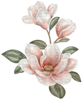 magnolia - gratis png