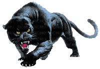 black panther bp - 無料のアニメーション GIF