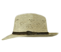 Hat - 免费PNG