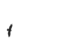 Птица - Bezmaksas animēts GIF