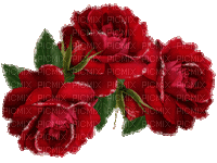 Flowers red rose bp - GIF animado grátis