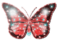 Y.A.M._Summer Flowers Decor butterflies - Animovaný GIF zadarmo