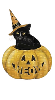Halloween, Katze, Cat, Kürbis, Pumpkin - ücretsiz png