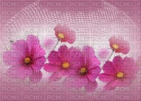 bg-rosa-lblommor--background -pink 'flowers - PNG gratuit