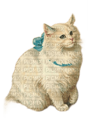 charmille _ animaux _ chat - бесплатно png