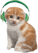 Kathleen Reynolds Cat Kitten - besplatni png