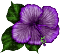 Tropical.Flower.Purple - zdarma png
