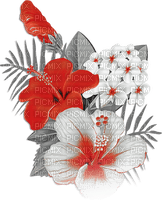 soave deco summer black white red - Free PNG