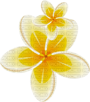 tropical flowers Bb2 - Free PNG