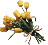 yellow-tulips-flower-minou52 - png gratis