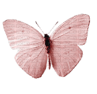 Papillon.Butterfly.Pink.rose.Victoriabea - GIF animado gratis