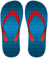 Kaz_Creations Summer Beach Flip Flops - PNG gratuit