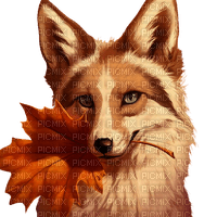 loly33 renard automne - Free PNG