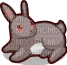 Bunny - Free PNG