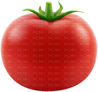 tomate - PNG gratuit