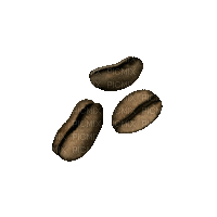 Coffee.Cafè.Grains.gif.Victoriabea - Darmowy animowany GIF
