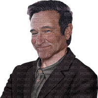 robin - Free PNG