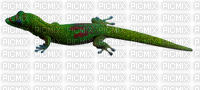 gecko - GIF animado gratis