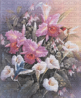 fleurs - Δωρεάν κινούμενο GIF