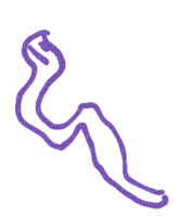 Le serpent - nemokama png