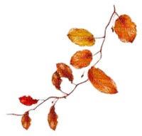 feuilles - Free PNG