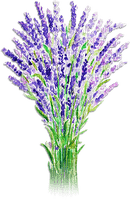 soave deco laventer flowers field green purple - 免费PNG