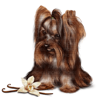 собака цветы  Карина - безплатен png